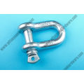 Galvanized G210 Drop Forged Screw Pin D Shackle